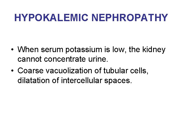 HYPOKALEMIC NEPHROPATHY • When serum potassium is low, the kidney cannot concentrate urine. •