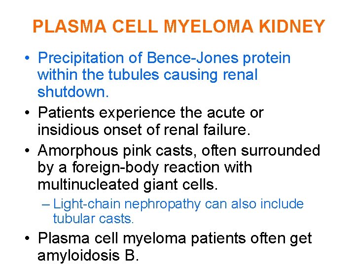 PLASMA CELL MYELOMA KIDNEY • Precipitation of Bence-Jones protein within the tubules causing renal