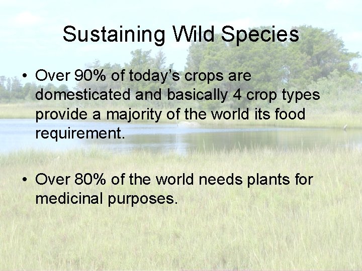 Sustaining Wild Species • Over 90% of today’s crops are domesticated and basically 4