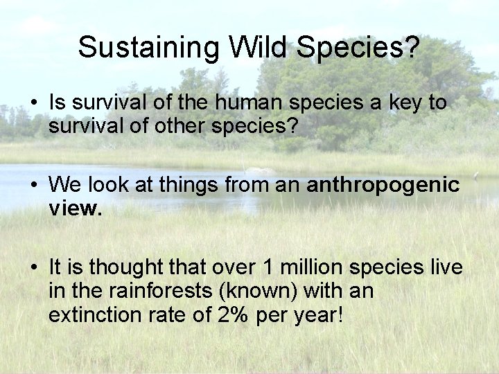 Sustaining Wild Species? • Is survival of the human species a key to survival
