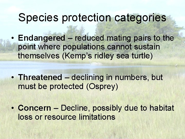 Species protection categories • Endangered – reduced mating pairs to the point where populations