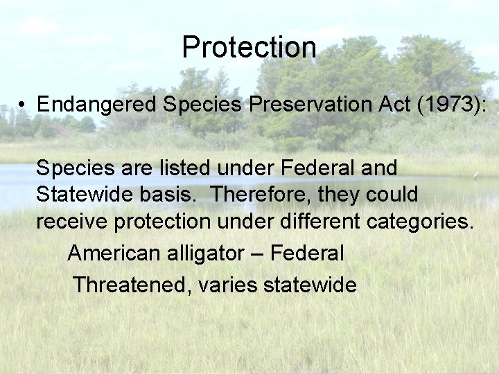 Protection • Endangered Species Preservation Act (1973): Species are listed under Federal and Statewide