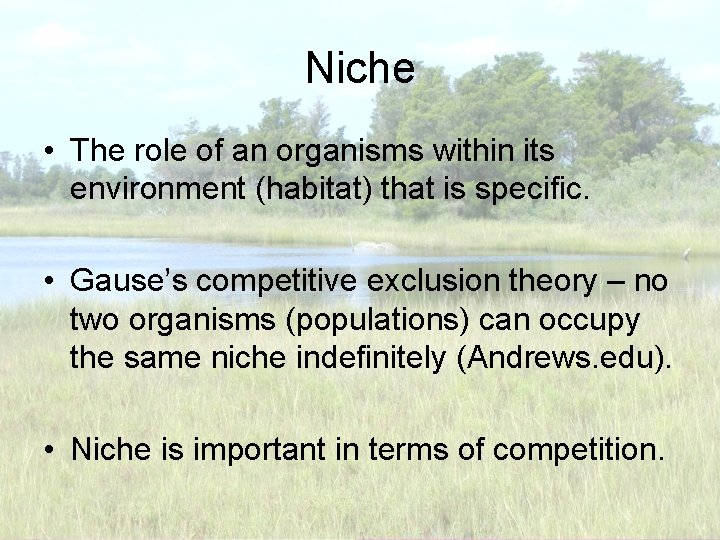 Niche • The role of an organisms within its environment (habitat) that is specific.