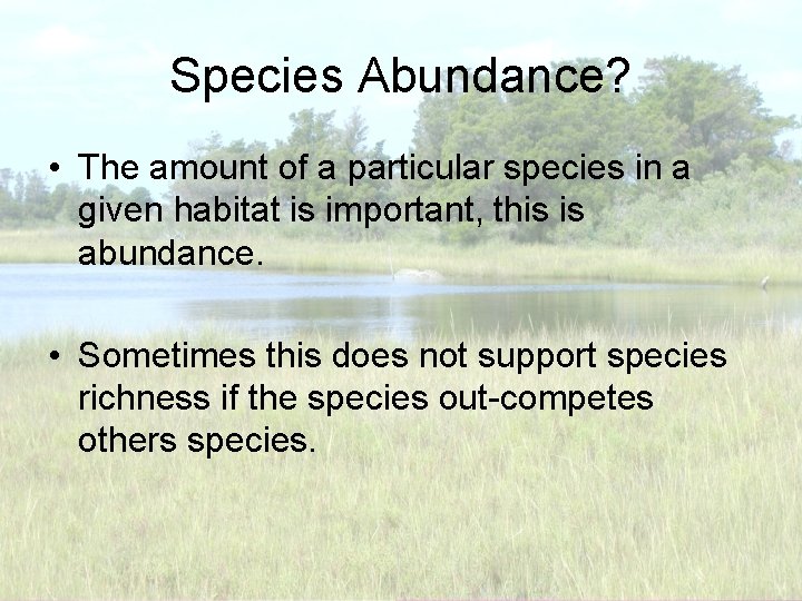 Species Abundance? • The amount of a particular species in a given habitat is