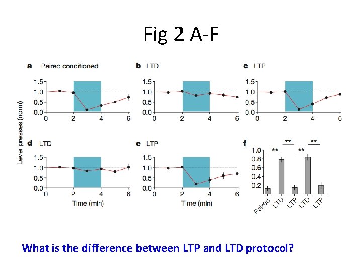 Fig 2 A-F What is the difference between LTP and LTD protocol? 