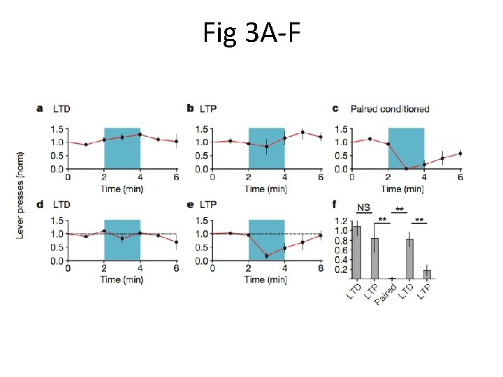 Fig 3 A-F 