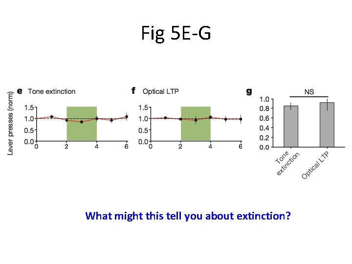 Fig 5 E-G What might this tell you about extinction? 