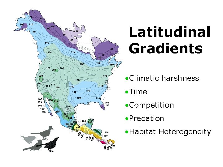 Latitudinal Gradients • Climatic harshness • Time • Competition • Predation • Habitat Heterogeneity