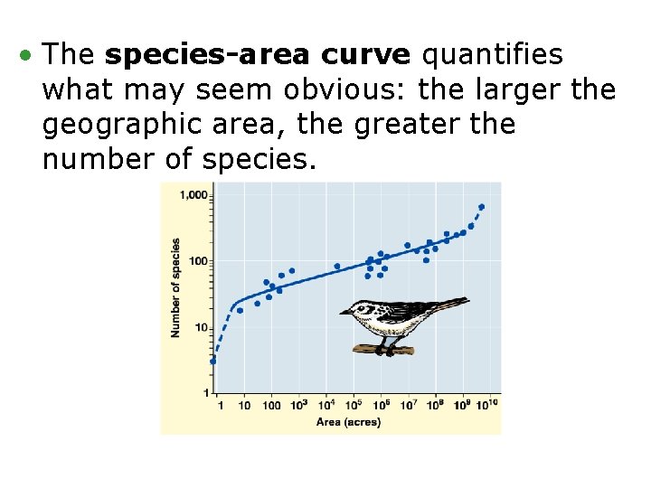  • The species-area curve quantifies what may seem obvious: the larger the geographic