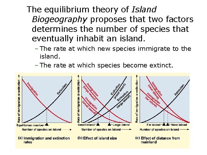 The equilibrium theory of Island Biogeography proposes that two factors determines the number of