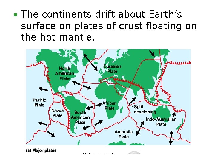 • The continents drift about Earth’s surface on plates of crust floating on