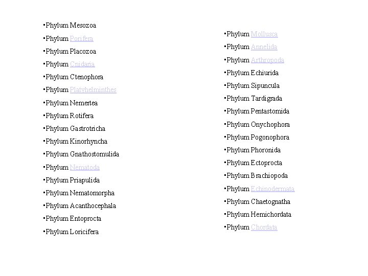  • Phylum Mesozoa • Phylum Porifera • Phylum Placozoa • Phylum Cnidaria •