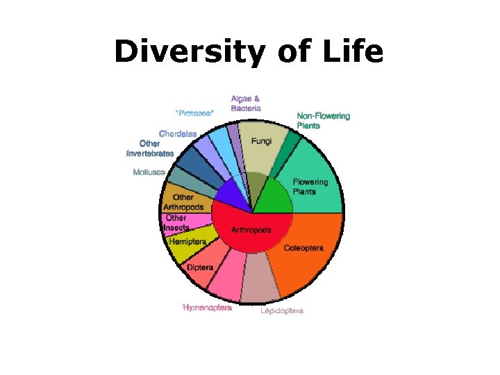 Diversity of Life 