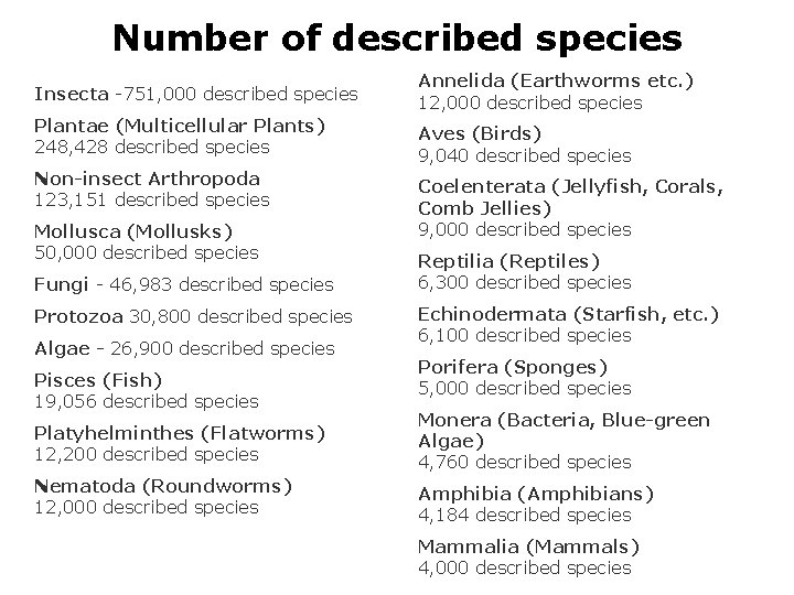 Number of described species Insecta -751, 000 described species Annelida (Earthworms etc. ) 12,