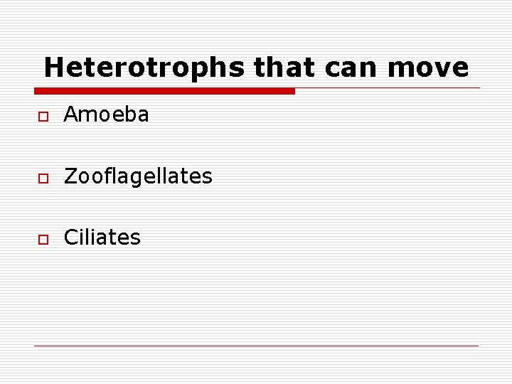 Heterotrophs that can move o Amoeba o Zooflagellates o Ciliates 