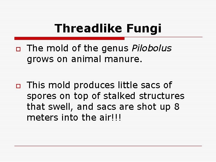 Threadlike Fungi o o The mold of the genus Pilobolus grows on animal manure.