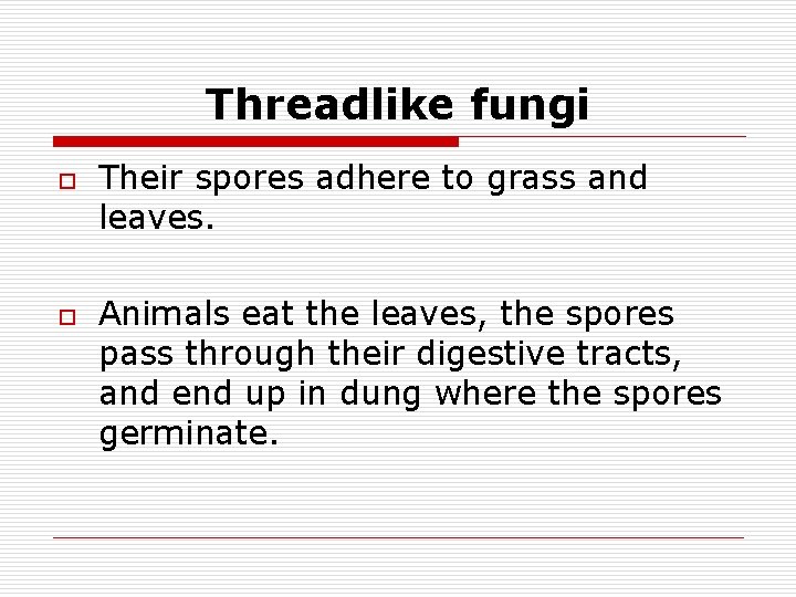 Threadlike fungi o o Their spores adhere to grass and leaves. Animals eat the