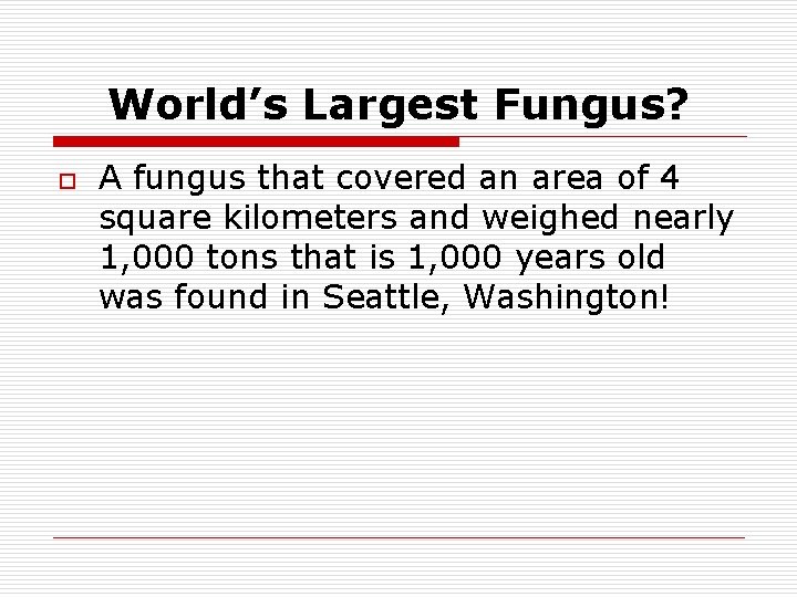 World’s Largest Fungus? o A fungus that covered an area of 4 square kilometers