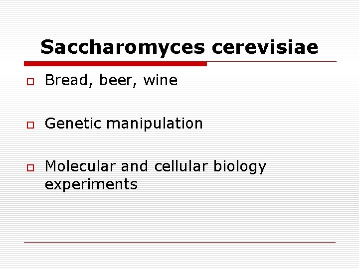 Saccharomyces cerevisiae o Bread, beer, wine o Genetic manipulation o Molecular and cellular biology