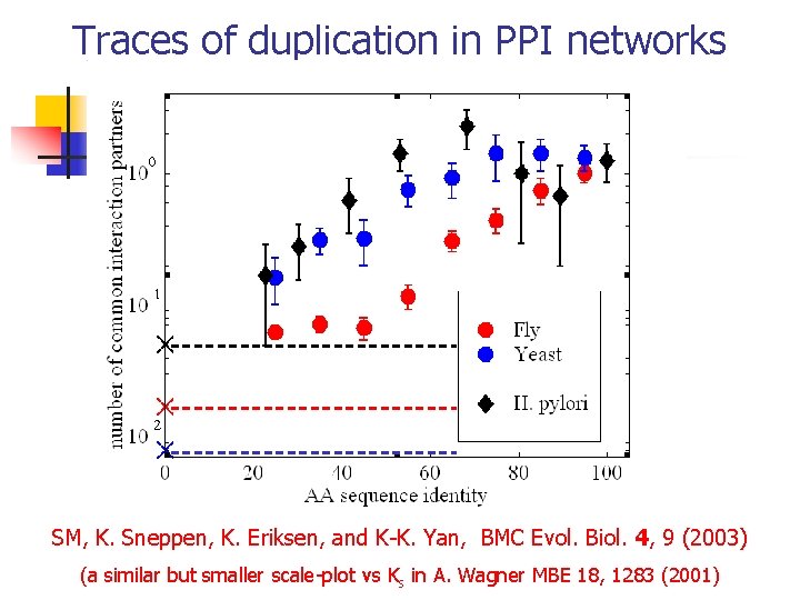 Traces of duplication in PPI networks SM, K. Sneppen, K. Eriksen, and K-K. Yan,