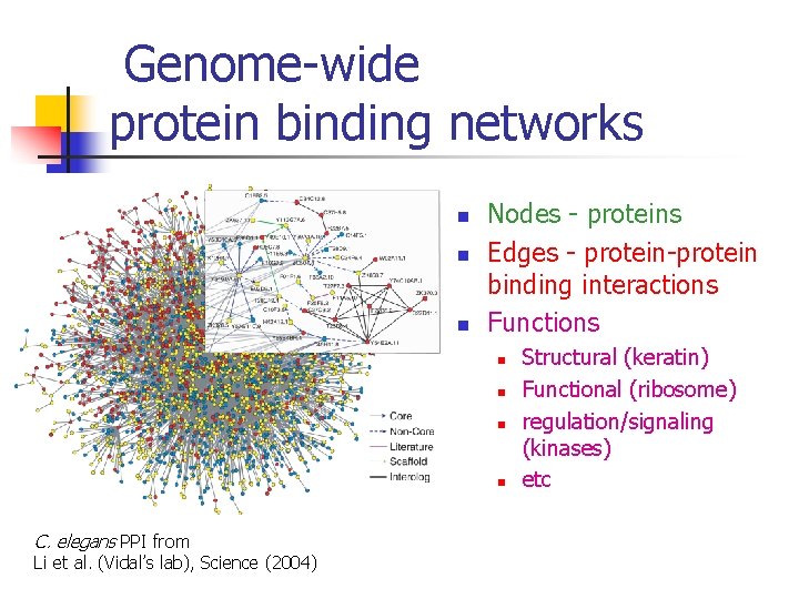 Genome-wide protein binding networks n n n Nodes - proteins Edges - protein-protein binding