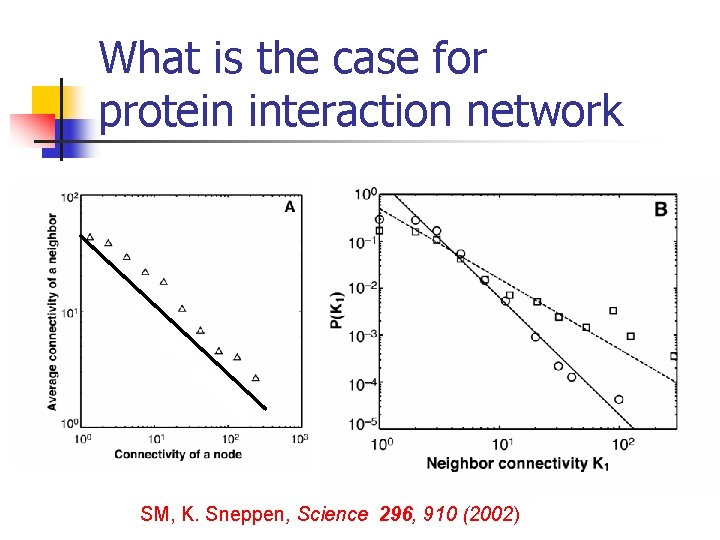 What is the case for protein interaction network SM, K. Sneppen, Science 296, 910