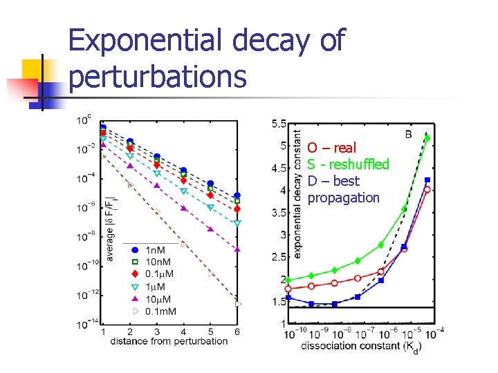 Exponential decay of perturbations O – real S - reshuffled D – best propagation