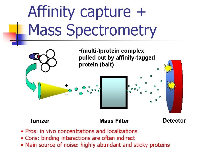 Affinity capture + Mass Spectrometry • (multi-)protein complex pulled out by affinity-tagged protein (bait)