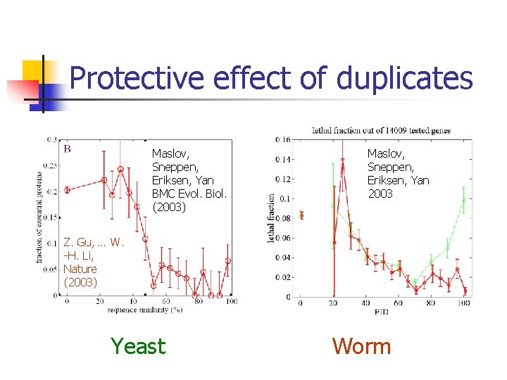 Protective effect of duplicates Maslov, Sneppen, Eriksen, Yan BMC Evol. Biol. (2003) Maslov, Sneppen,