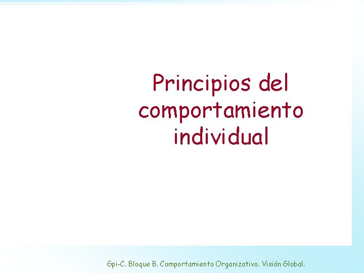 Dirección de Proyectos Informáticos Principios del comportamiento individual Gpi-C. Bloque B. Comportamiento Organizativo. Visión
