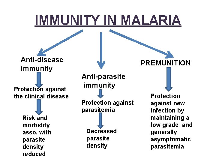 IMMUNITY IN MALARIA Anti-disease immunity Protection against the clinical disease Risk and morbidity asso.