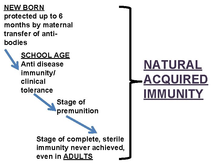 NEW BORN protected up to 6 months by maternal transfer of antibodies SCHOOL AGE