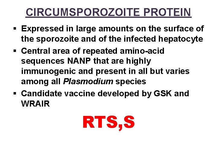 CIRCUMSPOROZOITE PROTEIN § Expressed in large amounts on the surface of the sporozoite and