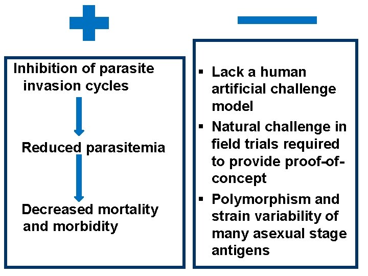 Inhibition of parasite invasion cycles Reduced parasitemia Decreased mortality and morbidity § Lack a
