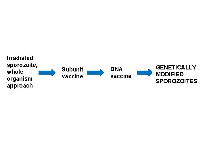 Irradiated sporozoite, whole organism approach Subunit vaccine DNA vaccine GENETICALLY MODIFIED SPOROZOITES 