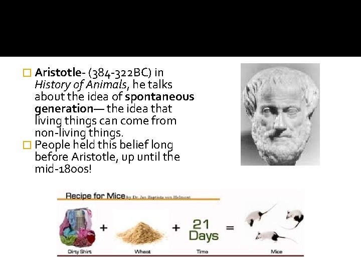� Aristotle- (384 -322 BC) in History of Animals, he talks about the idea