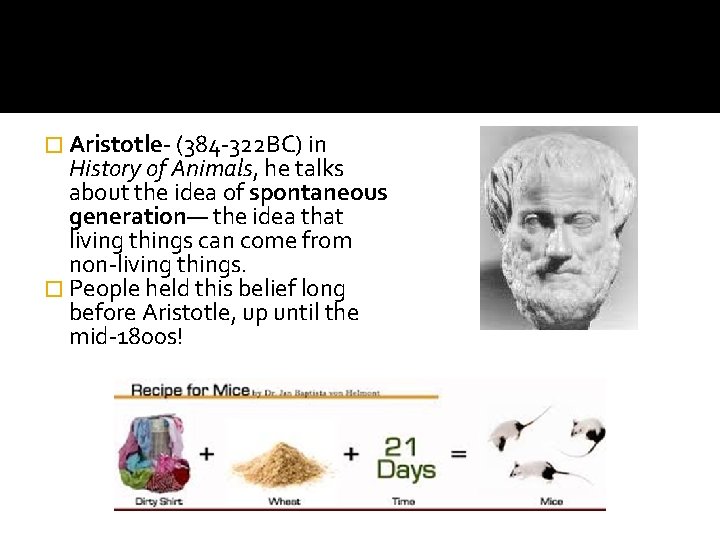 � Aristotle- (384 -322 BC) in History of Animals, he talks about the idea � Aristotle- (384 -322 BC) in History of Animals, he talks about the idea