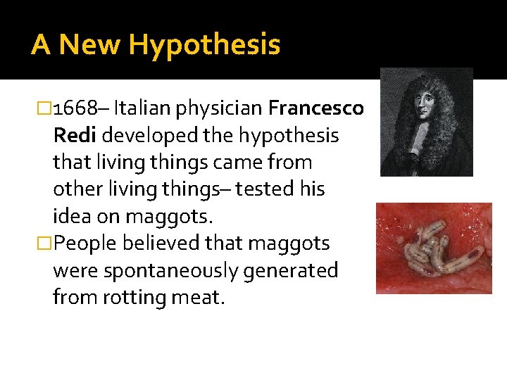 A New Hypothesis � 1668– Italian physician Francesco Redi developed the hypothesis that living