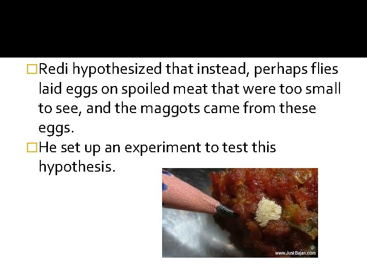 �Redi hypothesized that instead, perhaps flies laid eggs on spoiled meat that were too