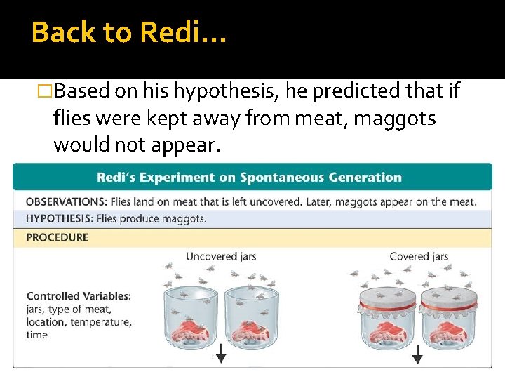Back to Redi… �Based on his hypothesis, he predicted that if flies were kept Back to Redi… �Based on his hypothesis, he predicted that if flies were kept