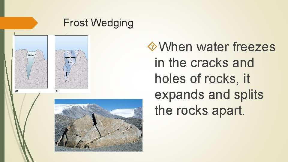 Frost Wedging When water freezes in the cracks and holes of rocks, it expands