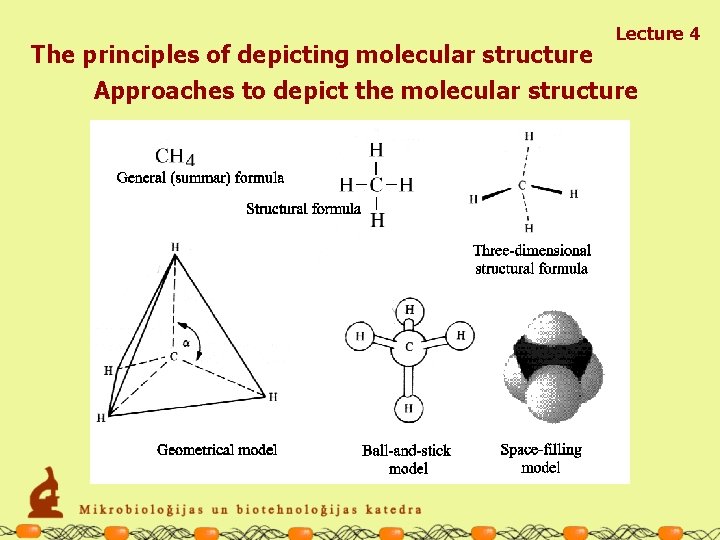 BASIC CELL BIOLOGY I CHEMISTRY of LIFE CLASSIFICATION