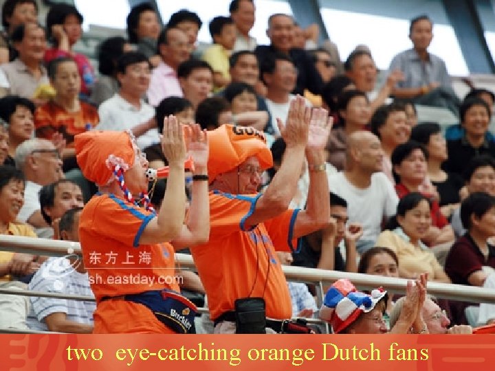 two eye-catching orange Dutch fans 