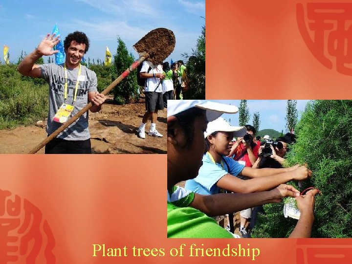 Plant trees of friendship 