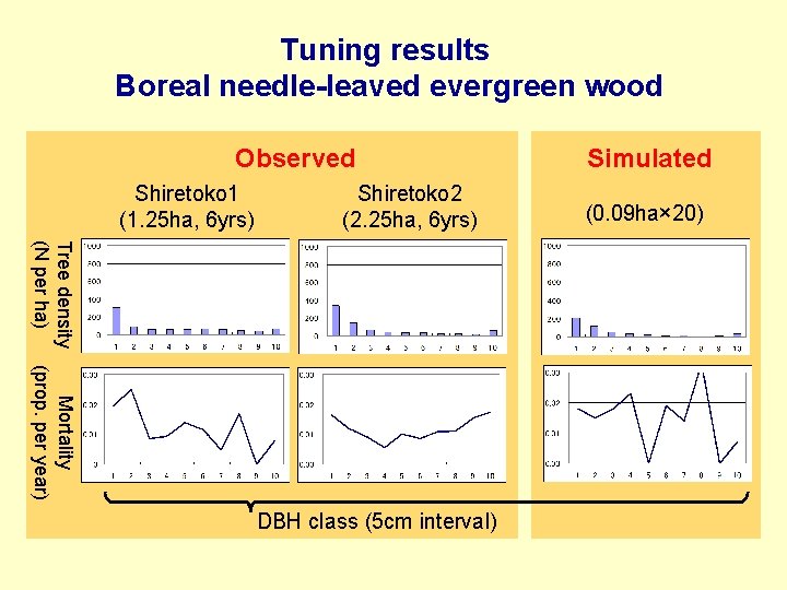 Tuning results Boreal needle-leaved evergreen wood Observed Shiretoko 1 (1. 25 ha, 6 yrs)