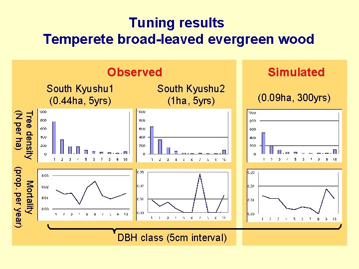 Tuning results Temperete broad-leaved evergreen wood Observed South Kyushu 1 (0. 44 ha, 5