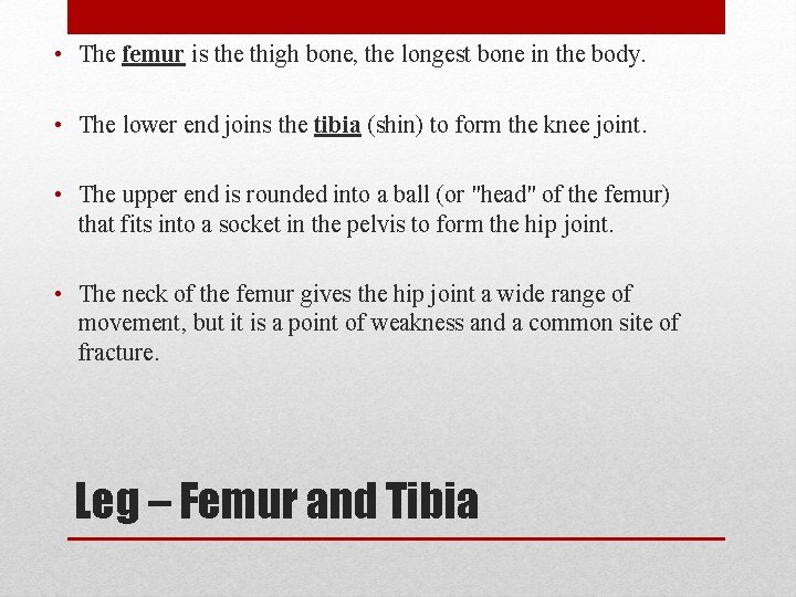  • The femur is the thigh bone, the longest bone in the body.