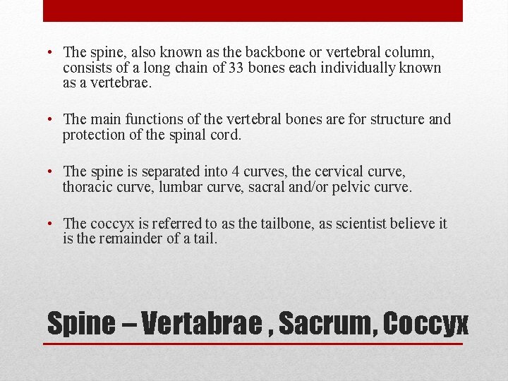  • The spine, also known as the backbone or vertebral column, consists of