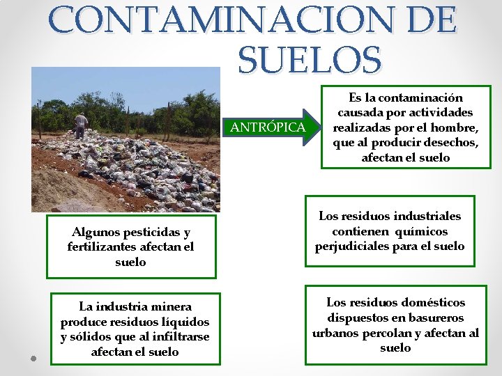 CONTAMINACION DE SUELOS ANTRÓPICA Algunos pesticidas y fertilizantes afectan el suelo La industria minera