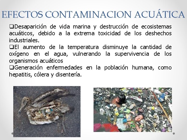 EFECTOS CONTAMINACION ACUÁTICA q. Desaparición de vida marina y destrucción de ecosistemas acuáticos, debido